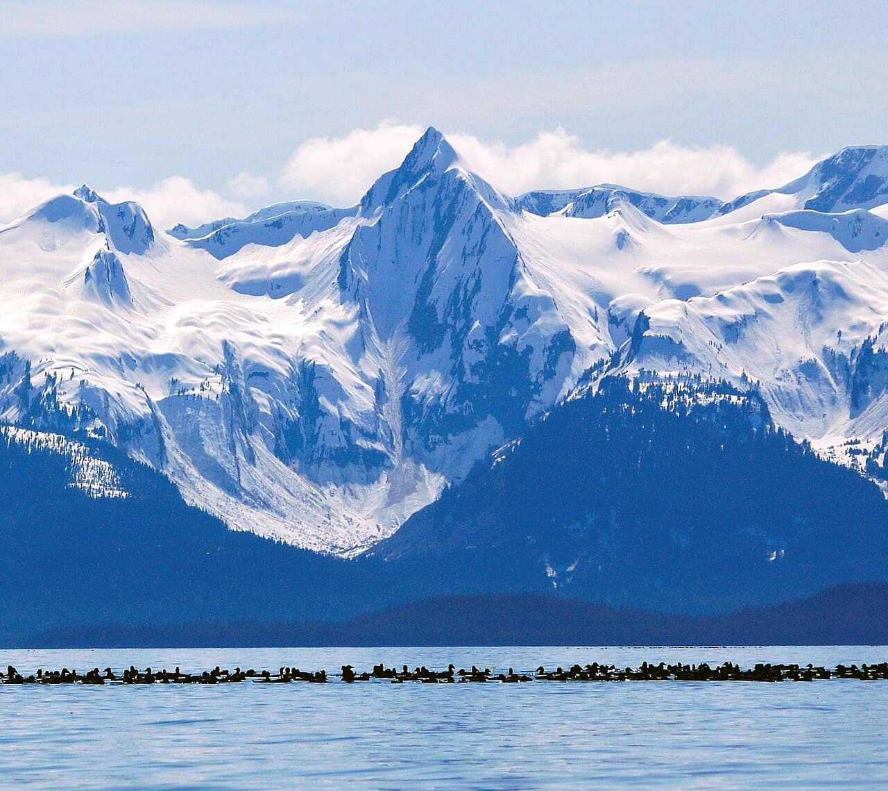 Haines Spine Walls Heli Week, Alaska