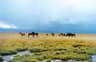 Kyrgyzstan Horse Trekking