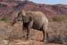 Namibia Damaraland Desert Walk