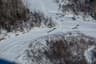 Iditarod Trail Dog Sled
