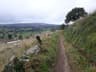Camino Primitivo