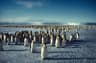 Antarctica Weddell Sea Expedition
