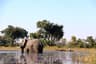 Okavango Delta Mokoro Expedition