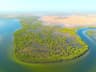 Senegal Sine Saloum Delta Kayak