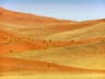 Namib Desert Dune Trek