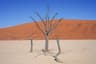 Namibia Sossusvlei Dune Trekking